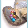 真珠のルーズビーズジュエリー卸売約25色の天然淡水真珠の真珠貝、混合真空包装オイスターのシェル滴の配達