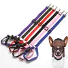 Pet Lead Traction Rope Adjustable Dog Harness Leashes Middle Small Dogs Outdoor Travel Safety Belt Pets Animals Accessories BH5484 TYJ