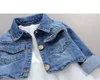 M3949 Kid Girls Denim Mesh Dress Toddler Baby Robes à manches longues Casual Kids Party Clothes