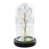 Party Favorit Light Galaxy Rose Flower Glass Cover LED Batterilampa Födelsedag Alla hjärtans dag Moders present Heminredning