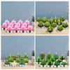 12pcs Saint-Valentin Rose Flower Candle 3D Cactus Cactus Simulate Succulent Plant Bougies Set For Weddings Home Decoration