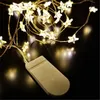 Cuerdas LED Fairy String Light 20leds Alambre de cobre Star / Snowfake Strip Luces navideñas para fiesta Boda Árbol de Navidad Año Decoración