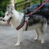 犬ハーネスベストリーシュリフエチック通気性網ペットプロデュースアジュームベール夜歩く歩行リーシュドッグカラー210712