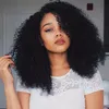 Blueless Afro Kinky Curly 100% Nautral Human Hair U Part Wids 250 -Gęstość Peruwiańska Remy Afros Unforted 4A 4b 4c Curly Full End