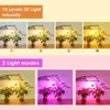 4 LED a LED di coltivazione della testa con supporto per treppiede per piante interne Lampada a pavimento a spettro completo con doppio controller 4/8/12h