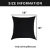 Soft 18*18 Inches Square Throw Pillow Velvet Micro-Velbo Solid Decorative Covers Hidden Zipper Cushion Case for Sofa Bedroom HK0015 0418