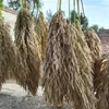 20 stücke hochzeit riesige pampas gras blume bündel natürlich getrocknet