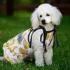 Abito da camicia abito abito abbigliamento da cani vestiti frutta modello cucciolo t-shirt beach abiti da spiaggia carino primavera estate fragola doggie sundress pet vestito per cani per piccoli cani gatti bianco m A30