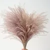 Decoratieve bloemen kransen gedroogd natuurlijk riet pampa decor bloemboeket gras huis kamer bruiloft partij decoratie accessoires Flores deco