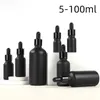Portable Cosmetics Esstenial Oil Bottle With Eye Droppers Empty Pipette Dropper Glass Vials 5-100ml