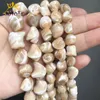 Other Natural Trochus Shell Irregular Beads For Women's Jewelry Making DIY Bracelet Ear Studs Necklace Accessories 15'' Strands 7-16mm