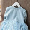 Girls Cute Pink Blue Princess Dresses Autumn Winter Snowflake Mesh Dress 2-6 Years Children Casual Clothes Baby Girl vestidos Q0716