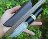 New Survival Straight Knife VG10 Damascus Steel Drop Point Blades Ebony + Horn + Brass Head Handle Fixed Blade Knives With Leather Sheath