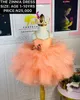 2021 Orange Crystals Tutu Flower Girl Dresses Ball Gown Knee Length Tulle Lilttle Kids Birthday Pageant Weddding Gowns ZJ5977520401