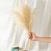 Pampas Grass Decor White Color Fluffy Natural Dried Flowers Bleached Bouquet Boho Vintage Style for Wedding Home Christmas Decor305B