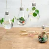 Lampada a sospensione in vetro a forma di lampada a forma di fiore, pianta acquatica, vaso per piante artificiali, contenitore per casa, interni, ufficio, decorazioni per matrimoni