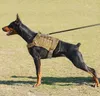 Colliers et laisses pour chiens, harnais tactique, gilet de Service militaire avec poignée pour l'entraînement, réglable, pour le travail des grands et moyens chiens