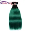 Prefolored Green Ombre Raw Virgin Indian Proste Bestles Bundles Dwa ton 1b Turkusowe ludzkie włosy splot 3PCS Wykwintny szycie w exten9599552