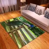 decorative bath rugs