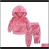 Dziecko Odzież Dziecko Maternity Drop Dostawa 2021 Złoty Vet 20 Design Winter Casual Solid Outsuits Zagęszczanie Bluzy Pants Twopice Sets Kid