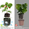 Planters krukor Vegetabilisk potatis Grow Bag Tr￤dg￥rdhandtag Felt Tyg Plantning V￤xande Box Round Pot Container 3/5/7 gallon tak