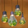 Nordiskt kafé te säte glas växt växer ljus stor glödlampa led spotlight matsal vardagsrum pastoral boll gröna växter ljuskrona