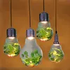 Planta de vidro de assento de chá de café nórdica Grow Light Big Bulbo Led Spotlight Room de sala de estar Plantas verdes pastoral Ball Plantas verdes Chandelier