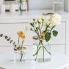 Nordic Simple Creative Home Flower Regeling Vaas Decoratieve Cup Decoratie Woonkamer Glas Plant Vazen Tafelblad Hydroponic 210623