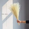 50 Pz Natural Pampas Erba Fiori Secchi Reed Piante Per La Decorazione Domestica Fiore Vero Sfondo Di Nozze Layout Fotografia Puntelli