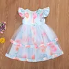 6M-5Y Dentelle Fleur Nouveau-Né Infant Toddler Bébé Enfant Fille Robe Princesse Tutu Fête De Mariage Robes D'anniversaire Pour Les Filles Costumes Q0716