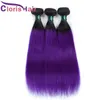 Coloré 1b Purple Droit Naturel Human Hair Bundles Brésilien Virgin Ombre Weave 3PCs offres Deux tons renforcés Cousent des extensions