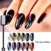 Färger 5d Cat Eye Chrome Nail Powder Pigment Spegel Magnetisk Art Glitter Damm Manicure Dekor Tillbehör Ch12Grid-5DMY-1