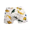 4 Teile/los Slips für Jungen Unterwäsche Kinder Boxer Höschen Bio-baumwolle Teenager Kinder Hosen 2-10 jahre 211122