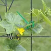 Other Garden Supplies 60Pcs Reusable Gentle Plant Clips Tomato Plants Support & Twist Ties, For Straightening Stems