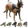 accessoires de chien de service