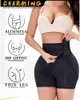 Twinso Sexy Big Ass Hip Enhancer Fake Butt Lifter Body Shaper with Hook  High Waist Trainer Slimming Tummy Control Panties S-6XL - Price history &  Review