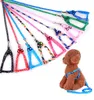 100 pièces 1.0*120 cm chien harnais laisses Nylon imprimé réglable collier pour animaux de compagnie chiot chat animaux accessoires collier pour animaux de compagnie corde cravate cravates