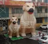 Gain Leuke Opblaasbare Zittend Hond Doggy Mascotte voor Evenementen Party Park Decoratie Adervising Promotional