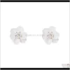 Dangle Lustre Drop Delivery 2021 Coréen Blanc Hyperbole Fleur Pour Les Femmes Mignon Doux Acrylique Grand Irrégulier Floral Boucles D'oreilles À La Mode Jewelr