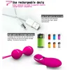 Eieren Kegel Bal 7 Snelheid Afstandsbediening Dames Egg Vibrator voor Vaginal Practice Geisha Ben WA Double Sex Toy 1124