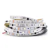 Strisce 5m DC12V WS2811 Nero/Bianco PCB 30/48/60 Led/m 10/16/20 Pixel/m Striscia Led Indirizzabile, 1 Controllo Ic 3 Led, IP30/IP65/IP67