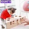 Hoopet Cat Interactive Pet Cat Toy Play Catch Toy Playing Exercise Toys Pet Products 211122