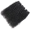 Indian Kinky Curly Virgin Human Hair Weavves Grade 9a Kurwiczne włosy Bundle Naturalny kolor Whole Indian Remy Hair5447838