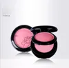 20pic maquillage deux Double poudre Blush ont loogo bonne qualité livraison gratuite Chine EMS