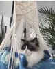 Animaux de compagnie chat balançoire hamac suspendu Boho Style Cage lit à la main suspendu sommeil chaise sièges gland chats jouet jouer coton corde