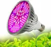 2021 LED Büyümek Ampul Par Tam Spektrum E27 UV IR Kapalı Hidroponik Çiçekler Için Bitkiler LED Büyüme Lambası Ücretsiz Gemi