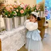Koreanska stil vårflickor fest klänning långa puff ärmar tårta klänningar för bröllop barn barn kläder e698 210610