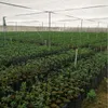 プランター鍋100個のPEプラスチック保育園バッグ植物の苗木の苗木の花庭の供給