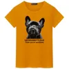 Féroce Pug Dog Imprimé Hommes T-shirts Nouveauté Bouledogue Français T-shirts Hommes Coton À Manches Courtes t-shirts S ~ 5XL 210716