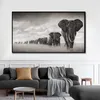 Africain Lion Lion Leopard Animaux Face sur toile PEINTURES MUR ARTS AFFICHES ET IMPRESS